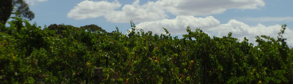crabtree watervale wines